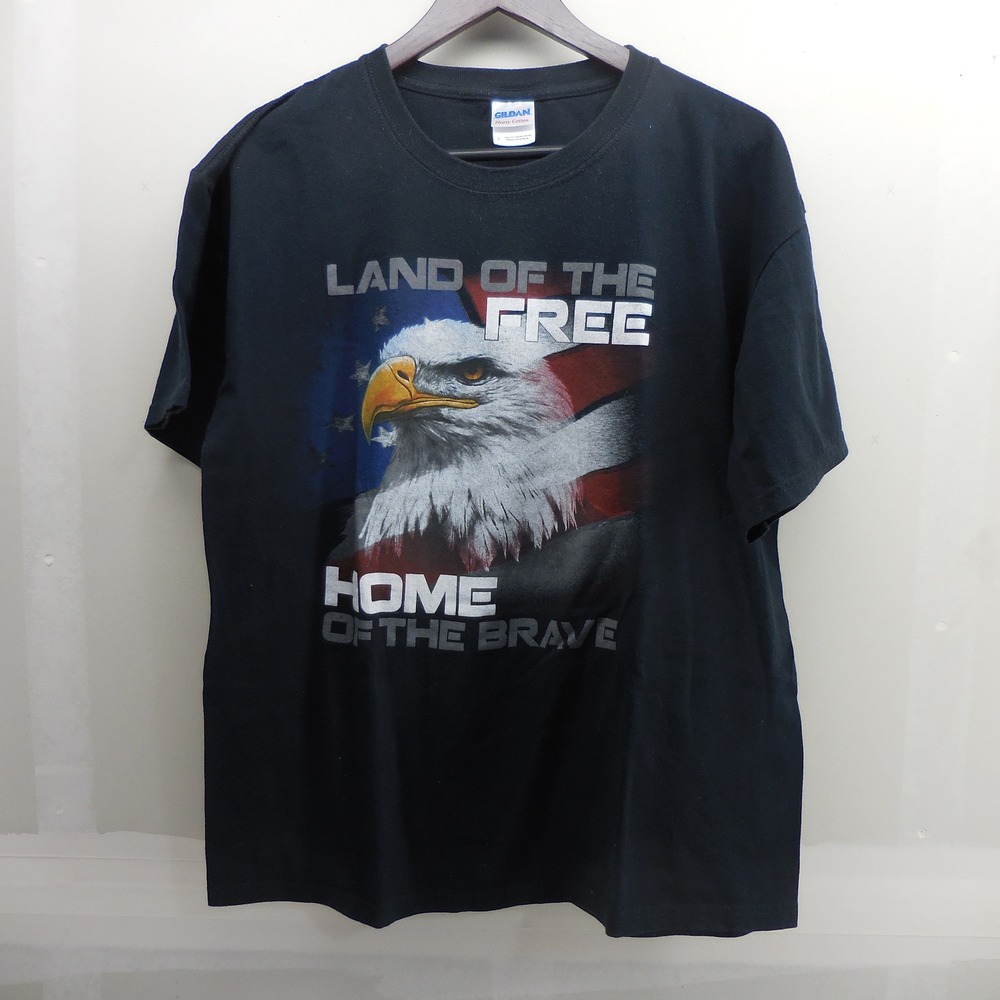 Mens‎ Large Eagle American Flag Land of the Free T-Shirt Black Y2K Patriotic